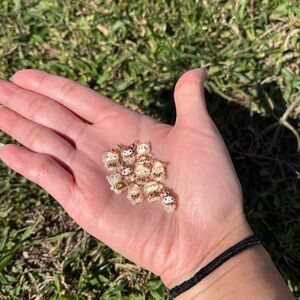 Sanrio Leopard Nail Charms🐆